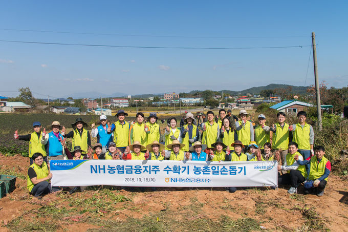 NH농협금융지주 이강신 부사장과 임직원 봉사단 50여 명은 18일 본격적인 수확철을 맞아 일손부족으로 어려움을 겪고 있는 충남 논산 연무읍 소재 농가를 방문해 농촌일손돕기를 실시했다.
