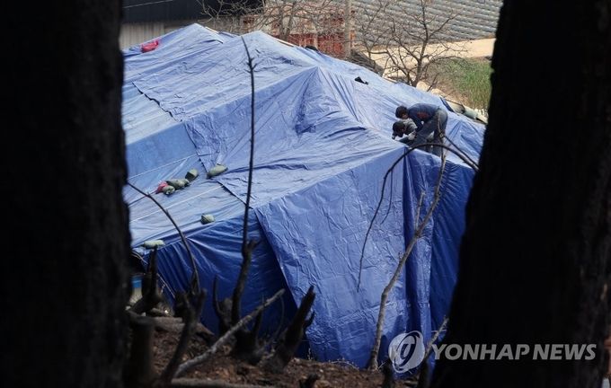 최근 산불이 발생한 강원 동해안에 비가 예보된 지난 9일 강원 강릉시 옥계면에서 주민이 불에 탄 지붕으로 비가 새지 않도록 방수포를 덮고 있다. 기상청은 10일 밤까지 영동지역에 최대 40㎜의 비가 내릴 것으로 내다봤다.