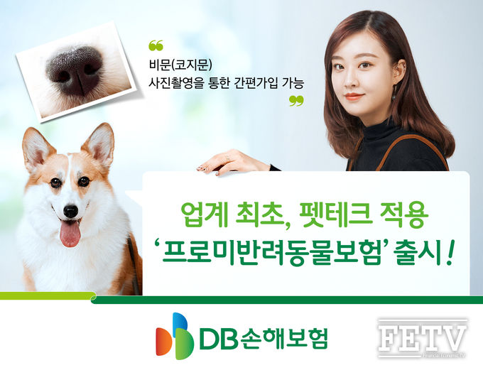 DB손해보험이 펫테크를 적용한 '프로미반려동물보험'을 출시한다. (사진=DB손해보험)