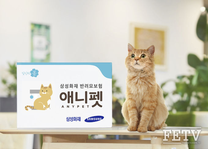 삼성화재가 반려묘 인구를 위한 '애니펫' 보험을 출시했다. (사진=삼성화재)