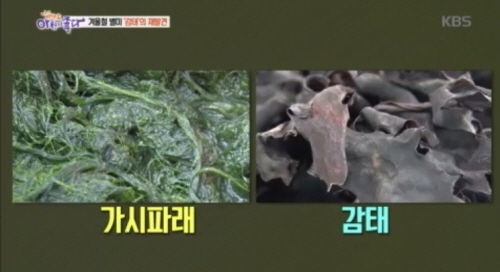 사진= 20일 KBS ‘생방송 아침이 좋다’에서 방송된 감태와 가시파래 소개 장면