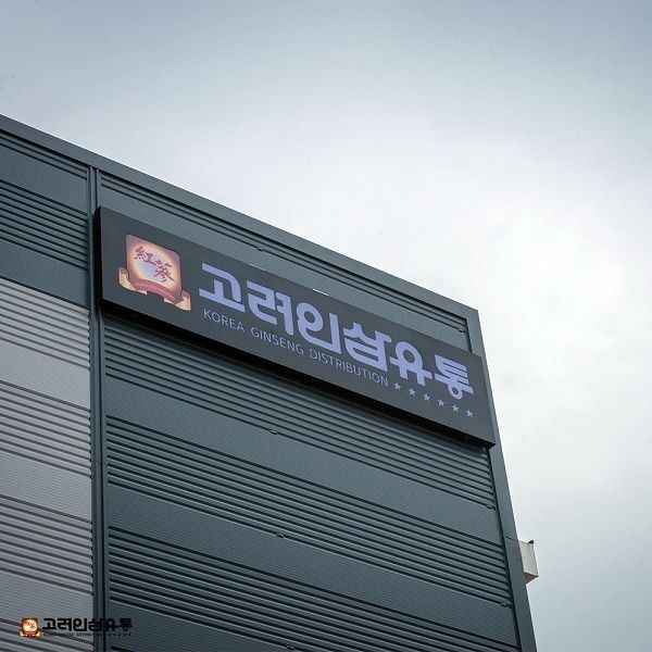 사진=고려인삼유통 제공