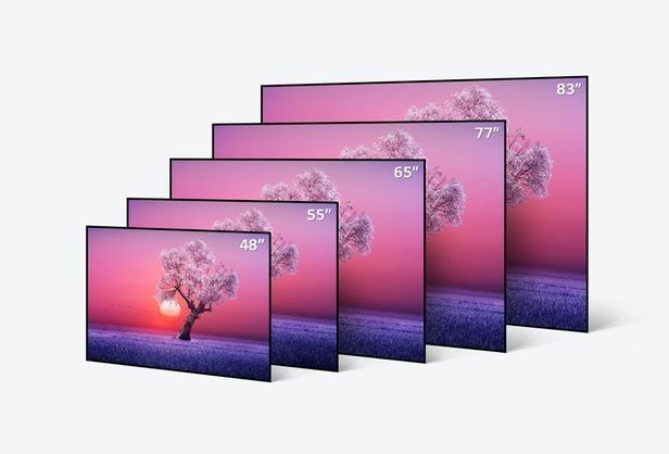 LG전자 OLED TV 라인업