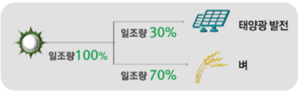 솔라셰어링 차광률(빛을 가리는 비율)을 조정해 작물 성장에 불필요한 태양광을 전력 생산에 사용하는 원리 (그래픽=한국남동발전)