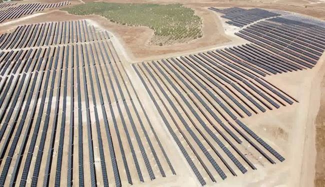지난 2020년 11월, 한화에너지가 아마렌코 솔라에 매각한 50MW 타 태양광 발전소 전경. 스페인 세비야 지역(사진=한화에너지)