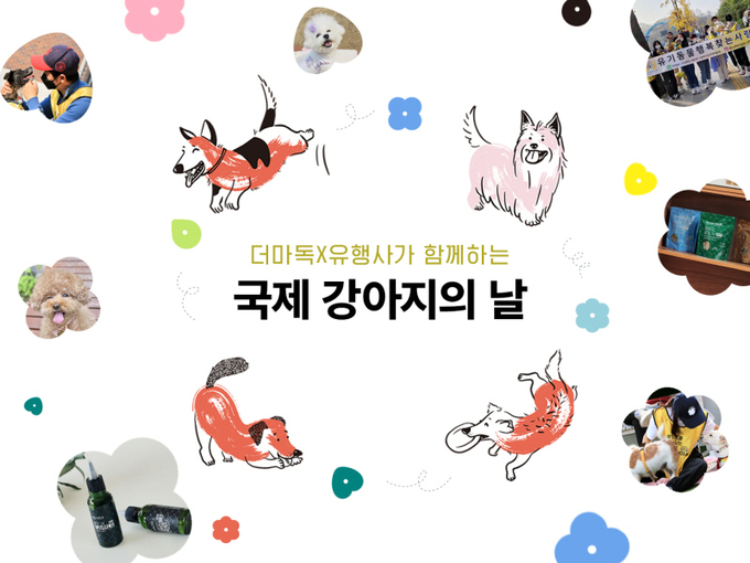 사진=더마독 제공