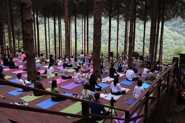 사진=용평리조트 제공<br>
