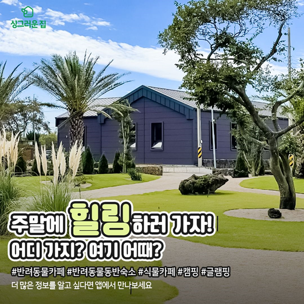 이미지=싱그러운 집 제공