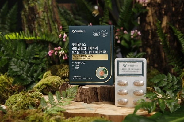 사진=이노바인코리아 제공