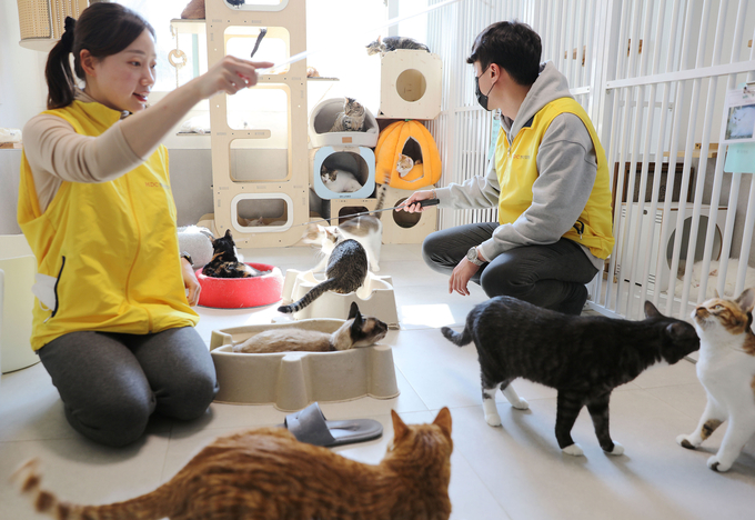 HDC현대산업개발 임직원은 21일 본부별 릴레이 첫 봉사로 용산구 동물보호소를 방문해 시설청소 봉사와 유기 동물을 위해 사용될 사료를 기부했다.(사진=HDC현대산업개발)