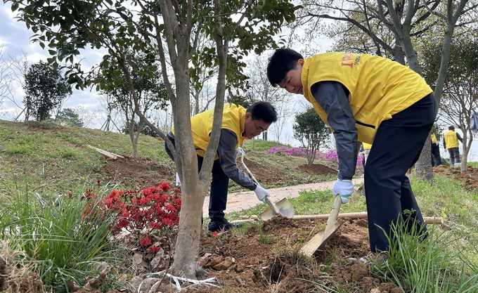 HDC현대산업개발은 8일, 5.18역사공원 환경 개선을 위해 공원 입구에 나무심기 봉사활동을 진행했다.(사진=HDC현대산업개발)