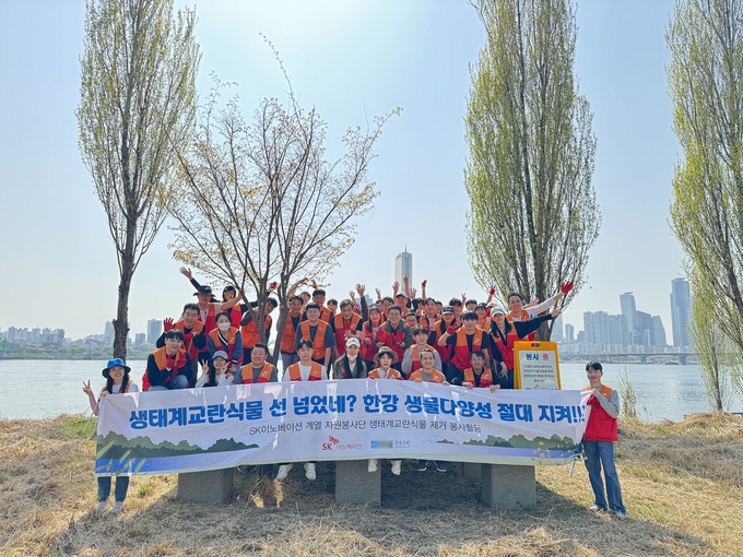 SK이노베이션 계열 구성원들이 서울 용산구 이촌한강공원에서 생태교란식물 제거 작업에 참여했다.(사진=SK이노베이션)