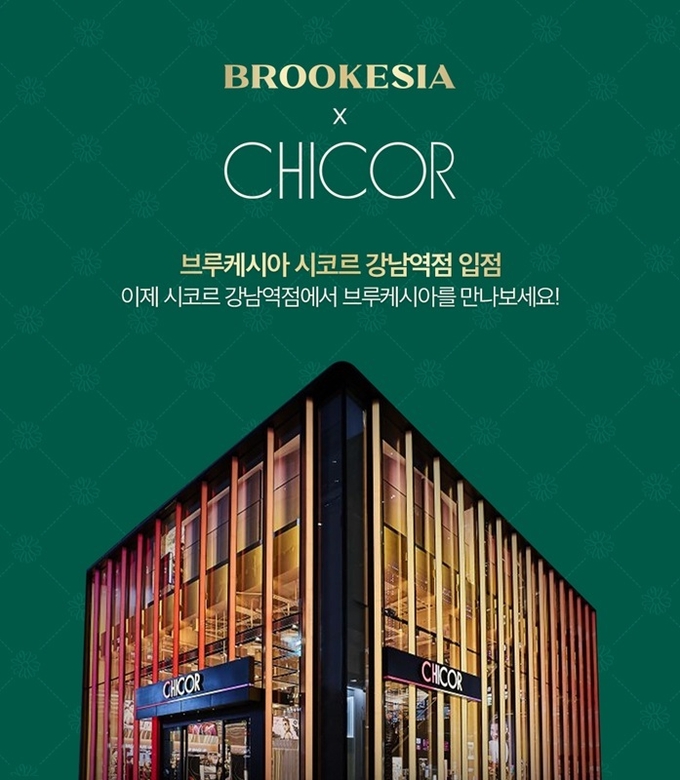 사진=브루케시아(BROOKESIA) 제공