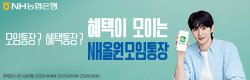 배너