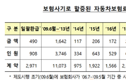보험사기 피해로 할증된 자동차보험료 30억원 환급
