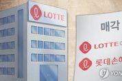 인수전 시작한 롯데카드‧손보, 17여곳 도전장…재무적투자자 ‘북적’