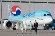 대한항공 “보잉737MAX 8 안전 확보 전까지 운항 계획 없다”
