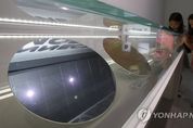 [日백색테러]일본 수출규제 한달, 코스피 하락·반도체 종목 큰 영향 없어