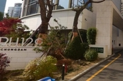국내 최고가 아파트 '더펜트하우스청담'…공시가 162억원