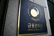 금감원, 은행 지배구조 집중 감독·검사