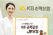 KB손보, 장기 펫보험 첫 출시…메리츠·삼성에 도전장