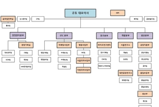 [조직도 해부] 한올바이오파마, '글로벌전략실' 신설..."해외 이슈 대응"