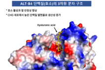 [ADC격돌] ③알테오젠, 편의성↑ SC제형 만든다