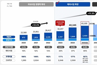 롯데칠성음료, '가이던스 유지' 해외서 반등 이뤄낼까