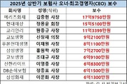 ‘보험사 CEO 상반기 보수’ 1위 메리츠화재 김중현 18억