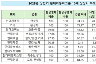 [하도급대금 결제 점검-현대차그룹] 완성차는 모범, 철강·물류는 구조적 후행