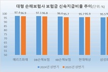 [2025 국감] 메리츠화재, 보험금 신속지급비율 ‘최고’…KB 0.4일