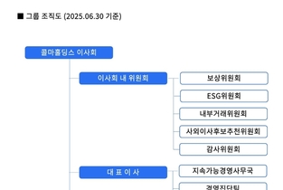 콜마그룹 지주사, M&A·투자 전담조직 없앴다