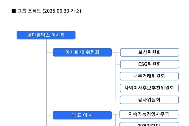 콜마그룹 지주사, M&A·투자 전담조직 없앴다