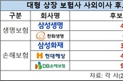 [2026 보험사 사외이사] 분야별 전문가 213명 후보…DB손보 90명 ‘최다’
