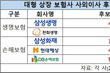 [2026 보험사 사외이사] 분야별 전문가 213명 후보…DB손보 90명 ‘최다’