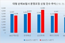 [보험사 소비자분쟁 점검] 5대 손보사, 분쟁조정 10 증가…DB 나홀로 감소