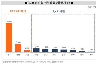 [분양 리포트] ‘10·15 대책’ 후 분양 양극화…김포 등 비규제지역 반사이익