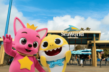 [핑크퐁 IPO] ②투자위험 '저출산 기조', 글로벌 확장 성적은