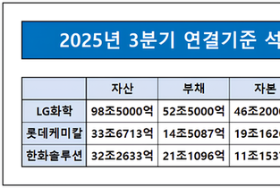 롯데케미칼, 투자절제·체질개선…성낙선 CFO의 ‘방어전’ 전략