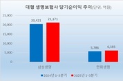 생보사 ‘빅2’, 3분기 누적 순익 증가…보험·투자익 ‘희비’
