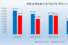 5대 손보사, 장기·車 손해율 직격타…삼성 vs 메리츠 1위 ‘격전’(종합)