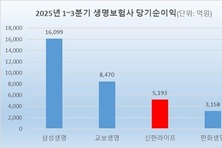 [보험업계 순위 지각변동] ‘톱2’ 노리는 신한, 순이익·CSM 모두 추월