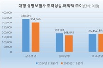 경기 침체 여파에도…3대 생보사, 해약액 5.4兆 감소