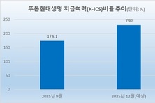후순위채부터 유증까지…보험업계, 연말 자본 확충 분주