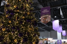 컬리, 오프라인 미식 축제 ‘컬리푸드페스타 2025’ 개막