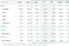 [컨콜-네이버] 최수연 대표 "국가대표 AI 탈락, 소버린 AI 전략·매출 영향 無"