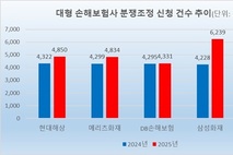 [2025 소비자분쟁] 5대 손보사, 분쟁조정 2.4만건…보험금 갈등 지속