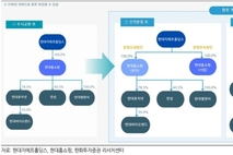 현대百그룹, 지주사 요건 '바이오랜드 변동→홈쇼핑 분할' 전략 변경 배경은