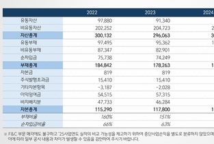[CJ제일제당 리빌딩] ③성장 위한 재무구조 ‘차입금 감축 우선’
