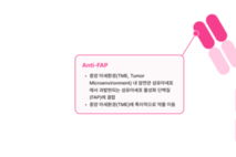 [카나프테라퓨틱스 IPO] 이중항체·ADC 앞세워 코스닥 입성 도전